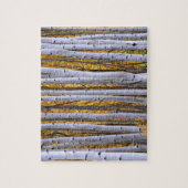 VS, Colorado, Rocky Mountains.  Intieme scène Legpuzzel (Verticaal)