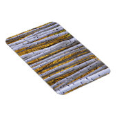 VS, Colorado, Rocky Mountains. Intieme scène Magneet (Rechterzijde)