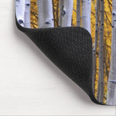 VS, Colorado, Rocky Mountains.  Intieme scène Muismat (Hoek)