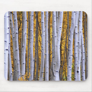 VS, Colorado, Rocky Mountains. Intieme scène Muismat