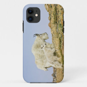 VS, Colorado, Rocky Mountains, Mount Evans, iPhone 11 Hoesje