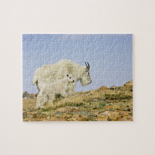 VS, Colorado, Rocky Mountains, Mount Evans, Legpuzzel (Horizontaal)