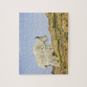 VS, Colorado, Rocky Mountains, Mount Evans, Legpuzzel (Verticaal)