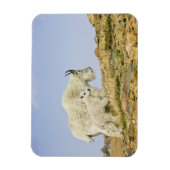 VS, Colorado, Rocky Mountains, Mount Evans, Magneet (Verticaal)