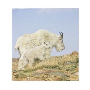 VS, Colorado, Rocky Mountains, Mount Evans, Notitieblok