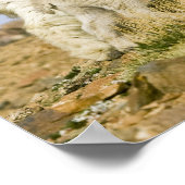 VS, Colorado, Rocky Mountains, Mount Evans, Poster (Hoek)