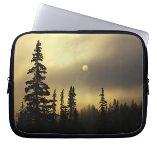 VS, Colorado, San Isabel Nationaal Bosbos. Laptop Sleeve