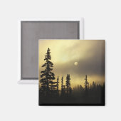 VS, Colorado, San Isabel Nationaal Bosbos. Magneet (Voorkant / Achterkant)