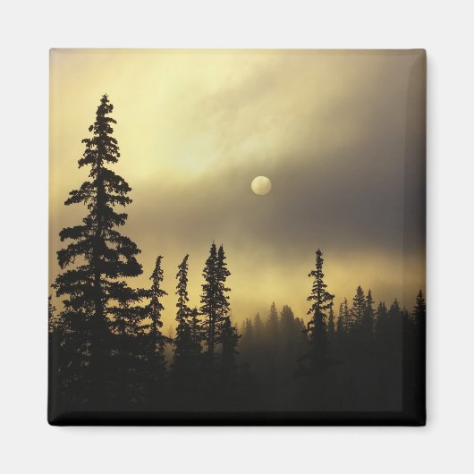 VS, Colorado, San Isabel Nationaal Bosbos. Magneet (Voorkant)