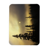 VS, Colorado, San Isabel Nationaal Bosbos. Magneet (Verticaal)