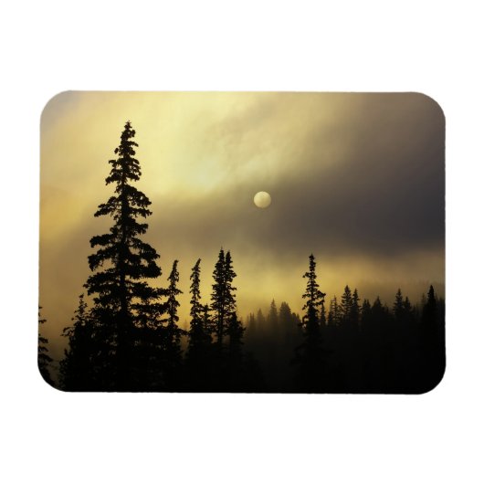 VS, Colorado, San Isabel National Forest. Magneet (Horizontaal)