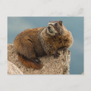 VS, Colorado, San Juan Mountains 2 Briefkaart