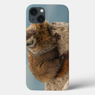 VS, Colorado, San Juan Mountains 2 Case-Mate iPhone Case