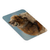 VS, Colorado, San Juan Mountains 2 Magneet (Rechterzijde)