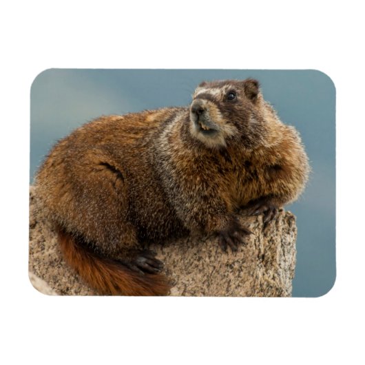 VS, Colorado, San Juan Mountains 2 Magneet (Horizontaal)