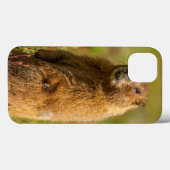 VS, Colorado, San Juan Mountains Case-Mate iPhone Case (Achterkant (horizontaal))