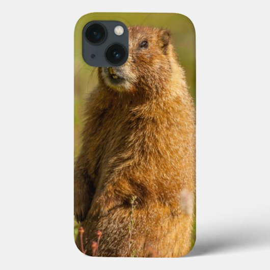 VS, Colorado, San Juan Mountains Case-Mate iPhone Case (Achterkant)