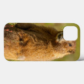 VS, Colorado, San Juan Mountains Case-Mate iPhone Case (Achterkant (horizontaal))