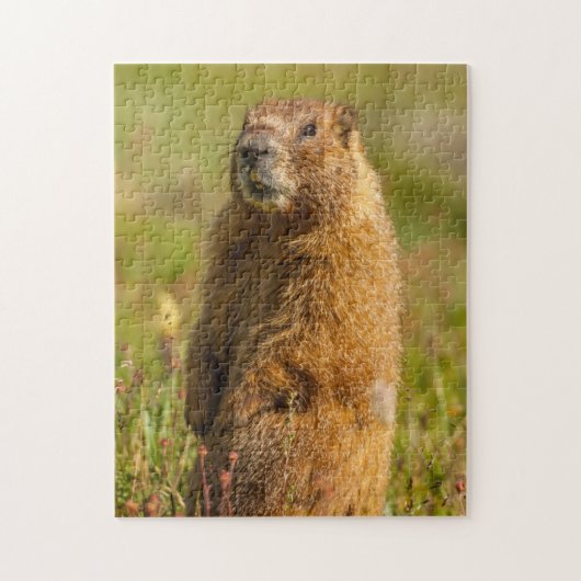 VS, Colorado, San Juan Mountains Legpuzzel (Verticaal)