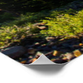 VS, Colorado, San Juan Mountains. Opruiming Poster (Hoek)