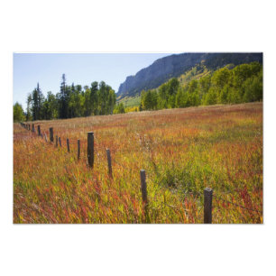VS, Colorado, San Juan National Forest, langs Foto Afdruk