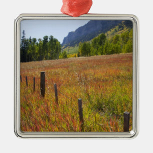 VS, Colorado, San Juan National Forest, langs Metalen Ornament