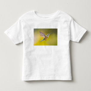 VS, Colorado, Summit County, Heeney. Zijaanzicht Kinder Shirts