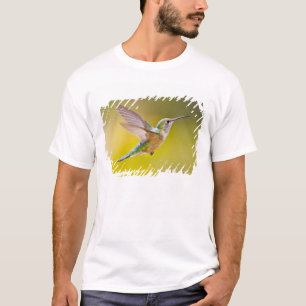 VS, Colorado, Summit County, Heeney. Zijaanzicht T-shirt