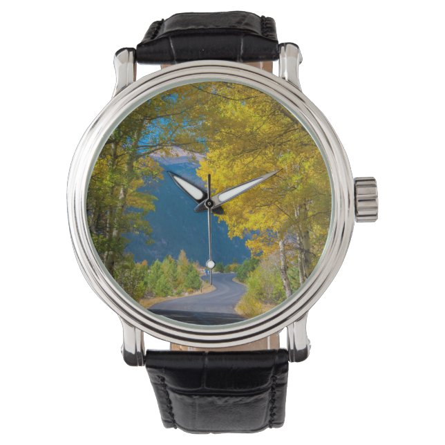 VS, Colorado. Weg geflankeerd door espes Horloge (Voorkant)