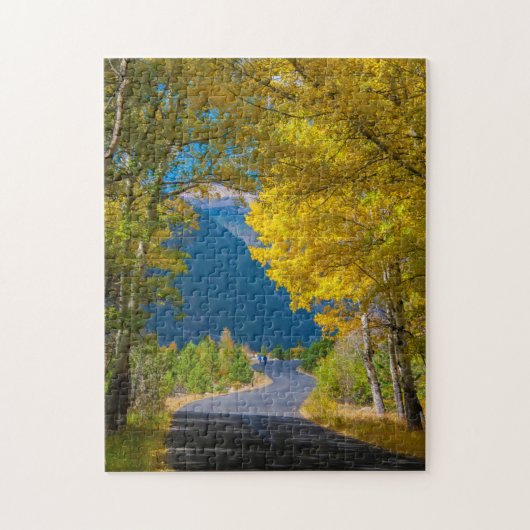 VS, Colorado. Weg geflankeerd door espes Legpuzzel (Verticaal)