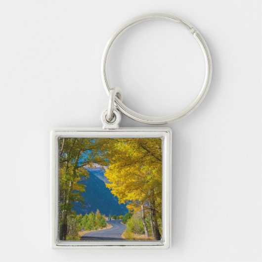 VS, Colorado. Weg met aspennen Sleutelhanger (Voorkant)