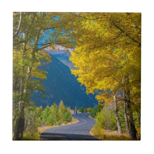 VS, Colorado. Weg met aspennen Tegeltje (Voorkant)