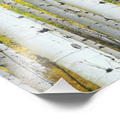 VS, Colorado, White River National Forest, Foto Afdruk (Hoek)