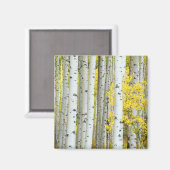 VS, Colorado, White River National Forest, Magneet (Voorkant / Achterkant)