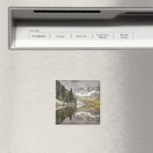 VS, Colorado, White River National Forest, Magneet (Insitu (Vaatwasser))