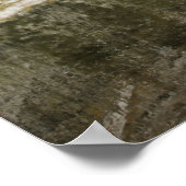 VS, Colorado, White River National Forest, Poster (Hoek)