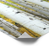 VS, Colorado, White River National Forest, Poster (Hoek)