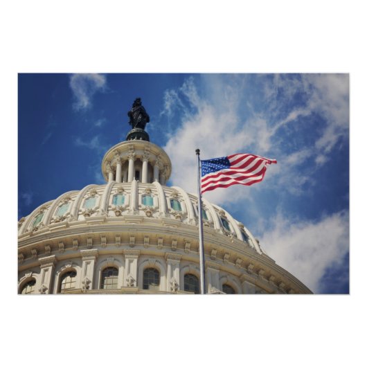 VS, Columbia, Washington DC, Capitol Building Perfect Poster (Voorkant)
