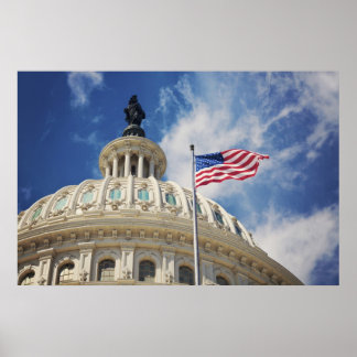 VS, Columbia, Washington DC, Capitol Building Poster