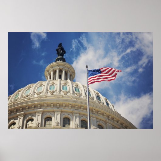 VS, Columbia, Washington DC, Capitol Building Poster (Voorkant)