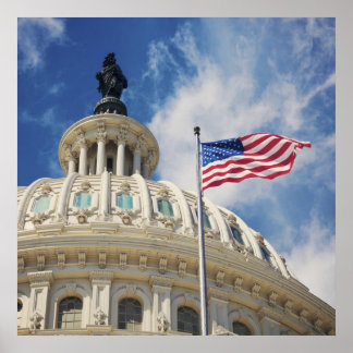 VS, Columbia, Washington DC, Capitol Building Poster