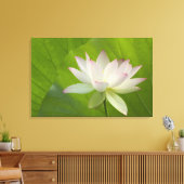 VS, DC, Washington, Kenilworth Aquatic Canvas Afdruk (Insitu (Woonkamer))