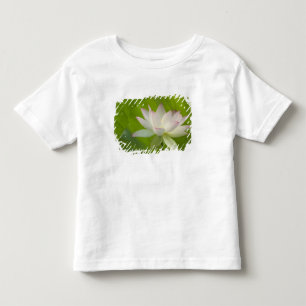 VS, DC, Washington, Kenilworth Aquatic Kinder Shirts
