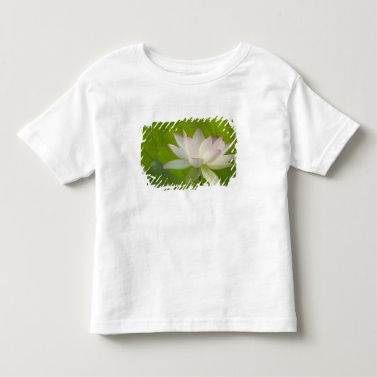 VS, DC, Washington, Kenilworth Aquatic Kinder Shirts (Voorkant)