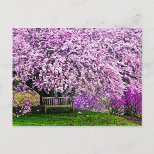 VS, Delaware, Wilmington. Houten bank onder Briefkaart (Voorkant)