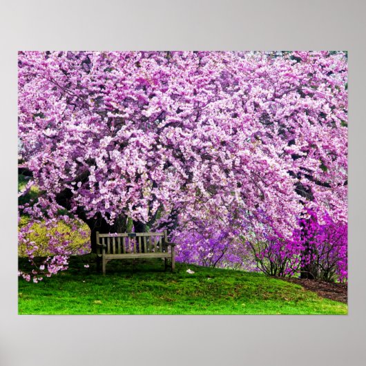 VS, Delaware, Wilmington. Houten bank onder Poster (Voorkant)