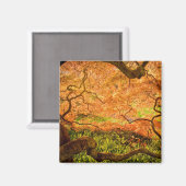 VS, Delaware, Wilmington. Japans monster Magneet (Voorkant / Achterkant)