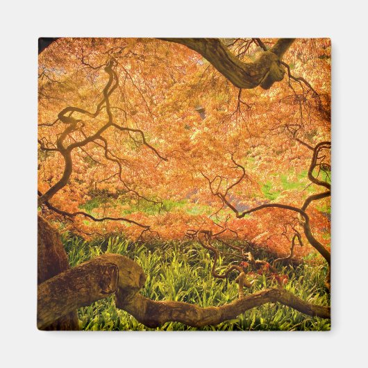 VS, Delaware, Wilmington. Japans monster Magneet (Voorkant)