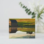 VS, Delaware, Wilmington. Steenschuur aan de rand Briefkaart (Staand voorkant)