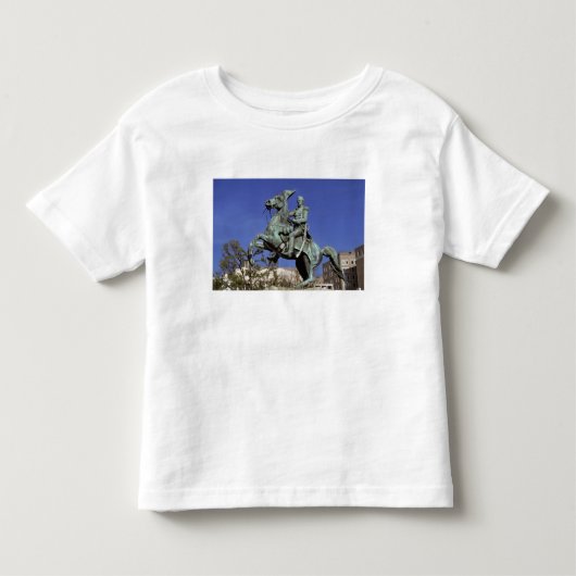 VS, District of Columbia. De triomferende, Kinder Shirts (Voorkant)